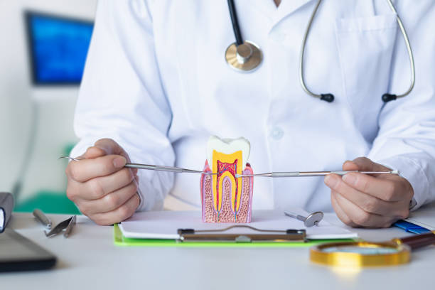Best Broken or Cracked Tooth Emergency Dentist in North Shore, CA